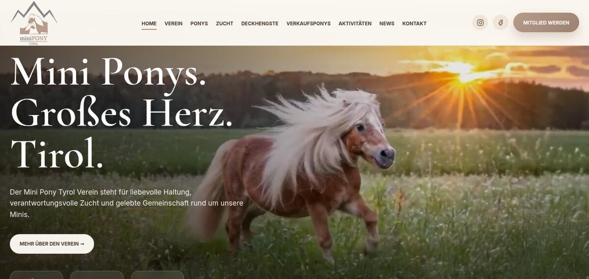Minipony Tyrol